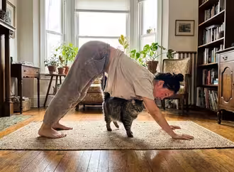 Yoga beginners practice